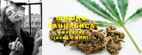 шишки Елизово