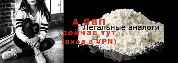 шишки Елизово