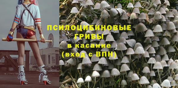 молекула духа Наволоки