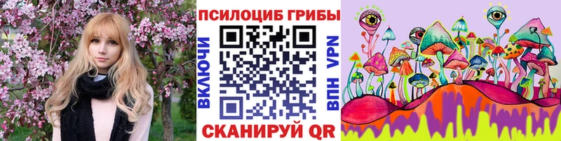 Галлюциногенные грибы MAGIC MUSHROOMS  купить наркоту  Ершов 