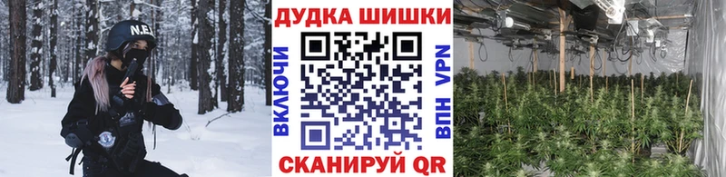 Бошки Шишки семена  где купить   Ершов 